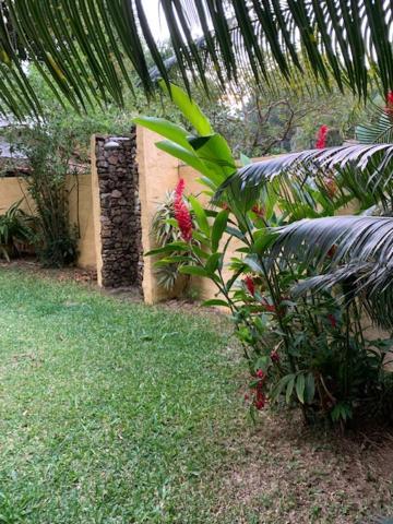 Chalés Bambá Ilhabela Exterior foto