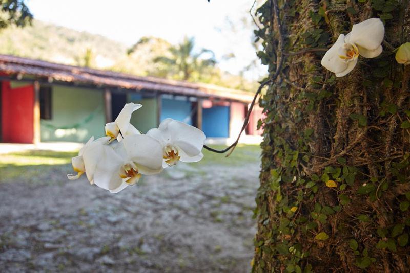 Chalés Bambá Ilhabela Exterior foto